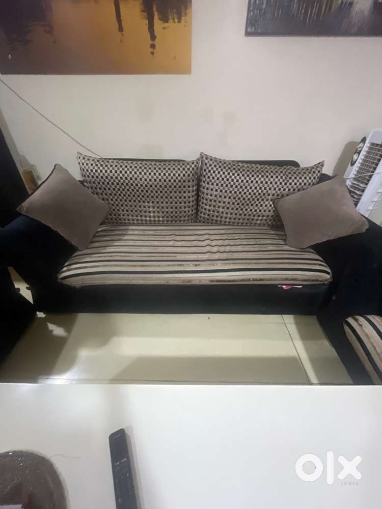 Six seater Sofa and center table