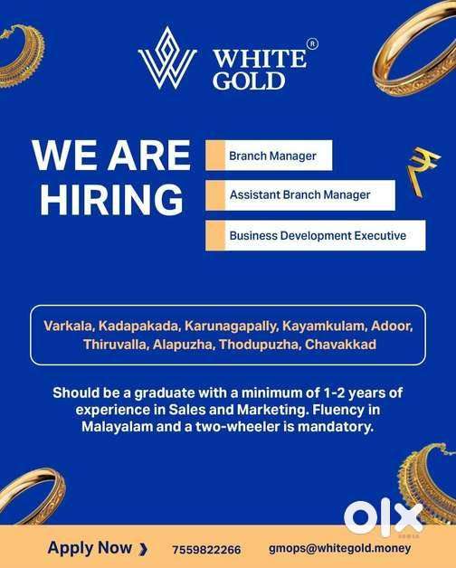 Branch Manager /Assistant Branch Manager/BDE