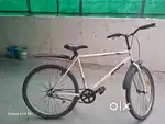 Decathlon cycle