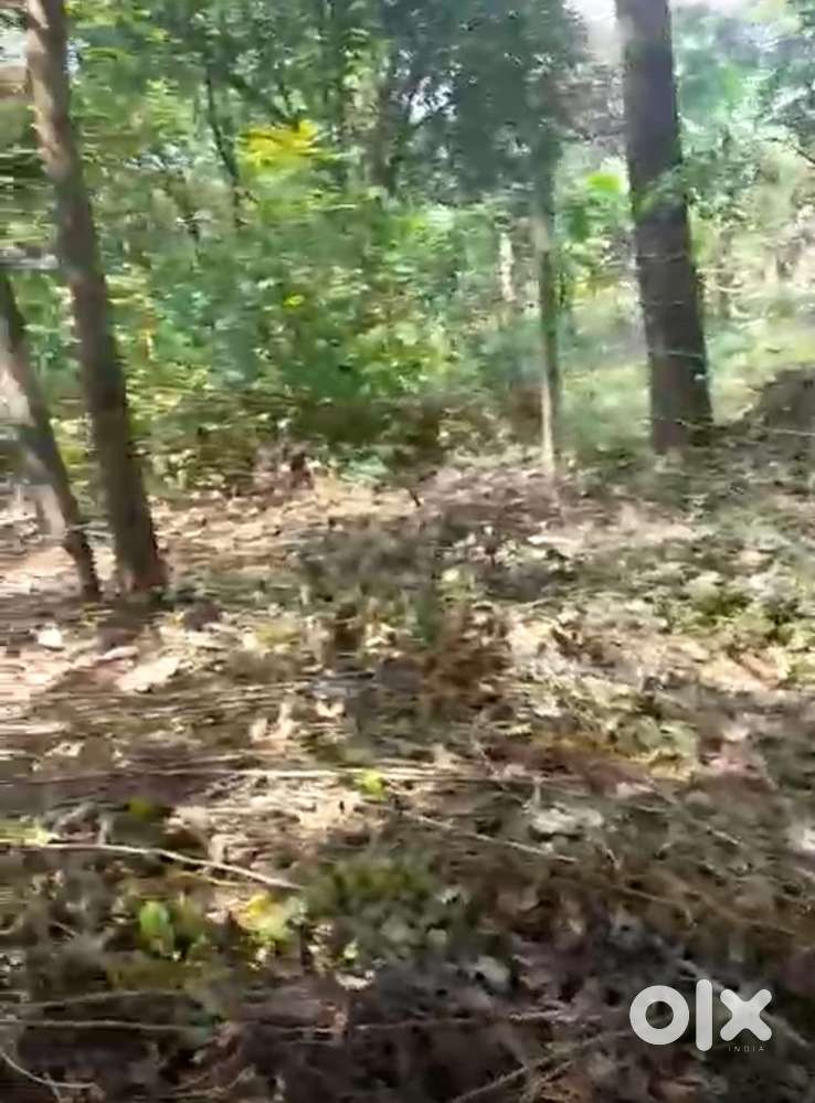 Agricultural Land for Sale – Ideal for Farming / Investment