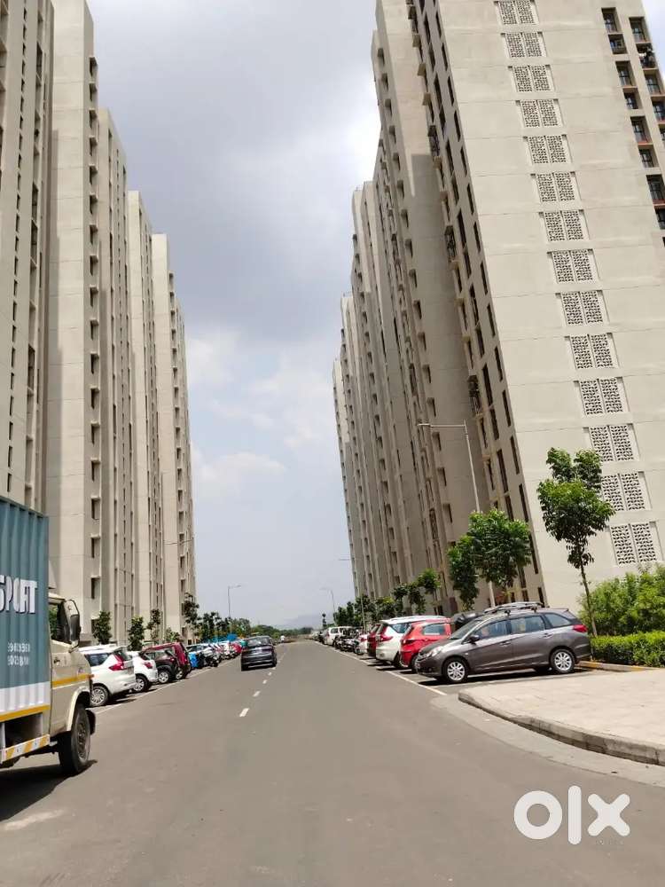 1bhk luxurious flat available for rent