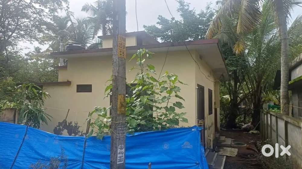 One BHK house for rent