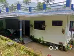 ചീനിക്കുഴി 17 cent ഉം വീടും 19 ലക്ഷത്തിന്