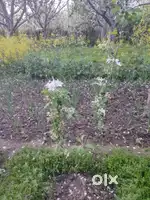 I am selling land measuring 10 marlas