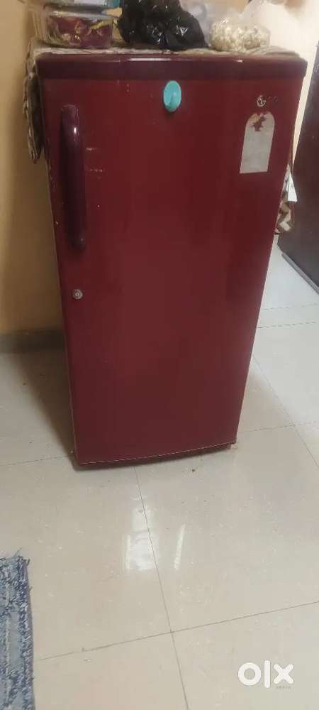 Fridge  2019