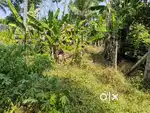 25 CENT LAND FOUR SALE AT PALLIKARA VEMBILI