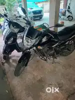 Unicorn in Mint Condition