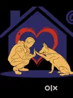 Dog care taker