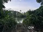 കോട്ടയം ചുങ്കം 40 സെന്റ് ആറ്റുത്തീരം മെയിൻ റോഡിനടുത്തു