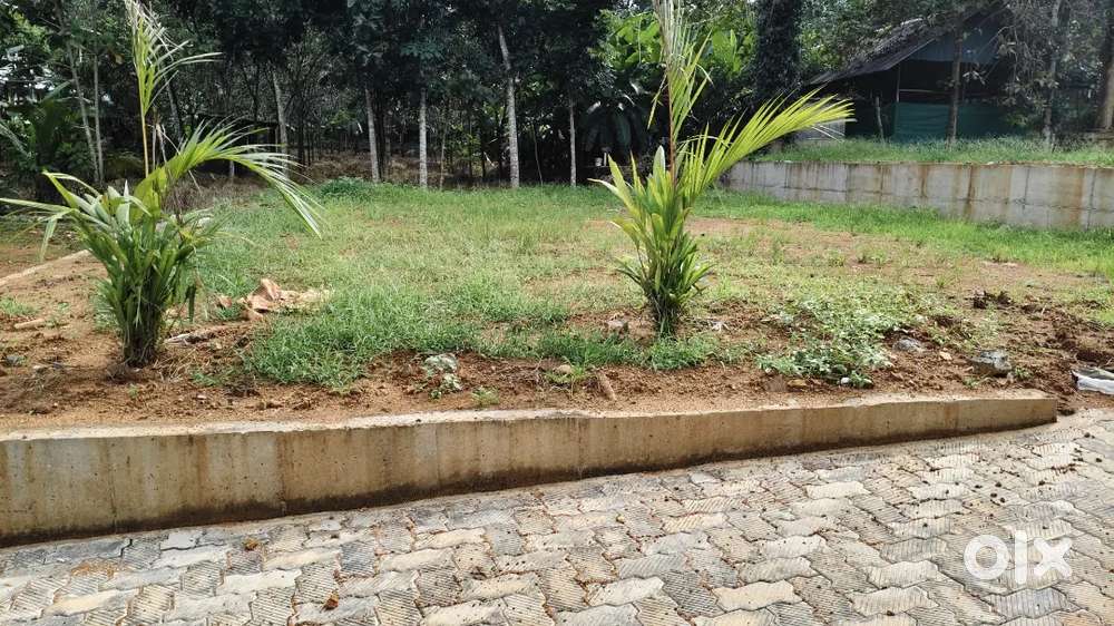 Kizhakambalam vengola 4,5,6,10 cent