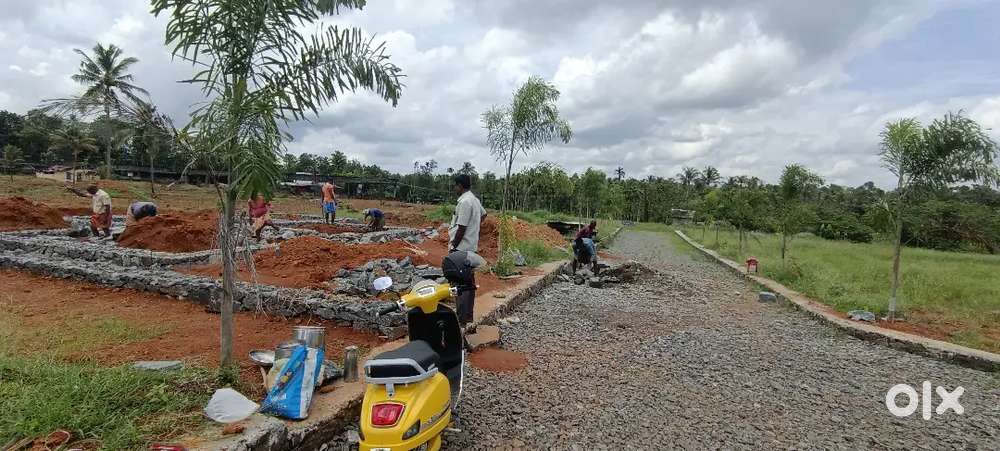 ANGAMALY THURAVOOR JUNCTION NEAR BY 5,6,8, 10 CENT PLOTS AVAILABLE