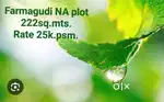NA plot farmagudi