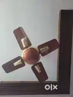 CEILING FAN