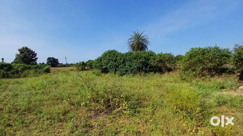 22 lakh per Acre Only,1.10 Acres Agriculture land for sale