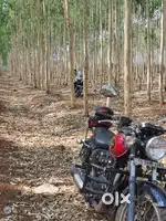 Benelli imperiale 400