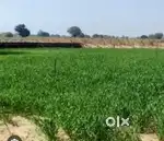 बलोंप 30*70 प्लॉट