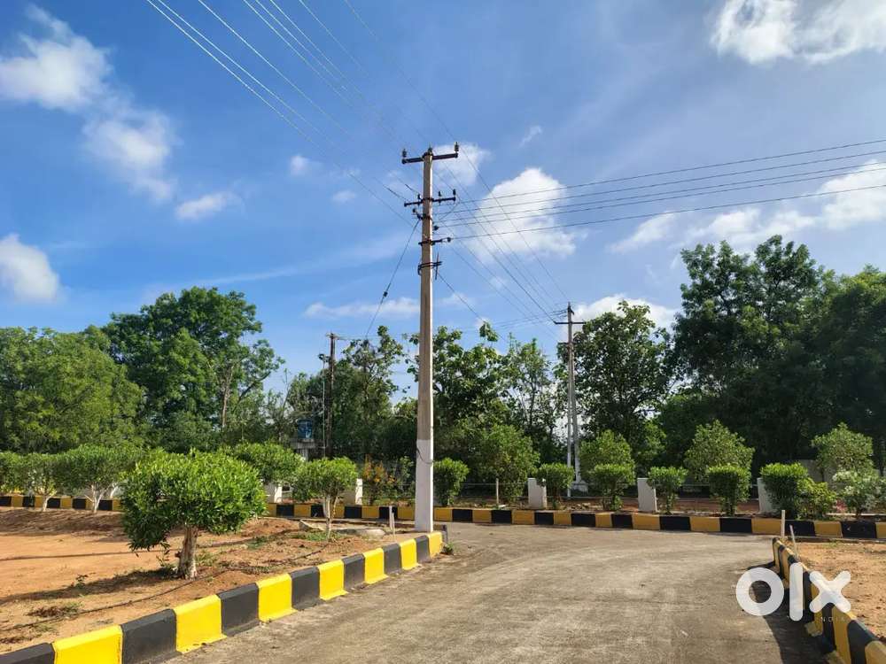 Near cheeryal main road open plots for sale
