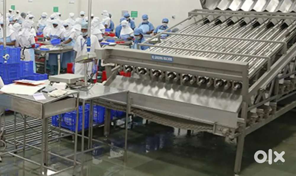 Need Prawn company staff urgently in Bhubaneswar