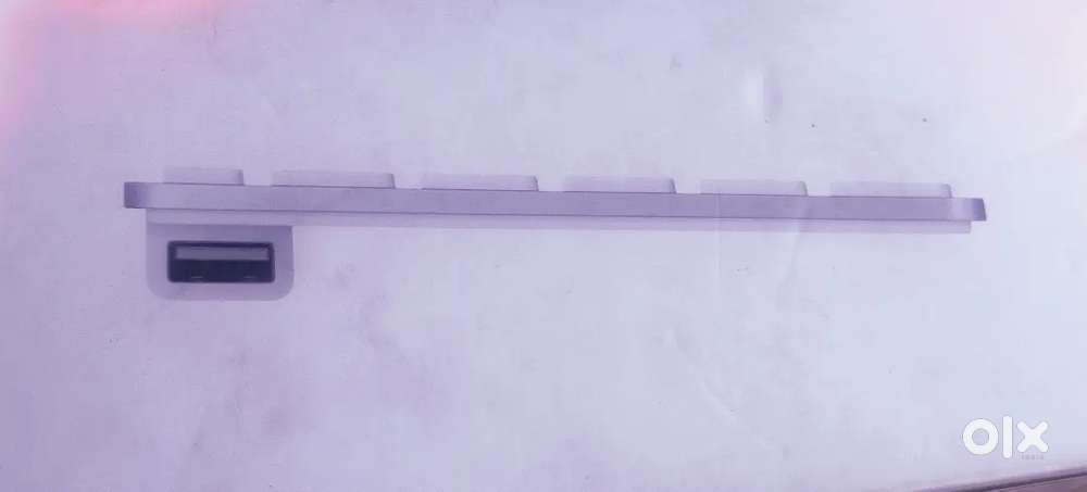 Apple keyboard and mouse # brand new premier and royal