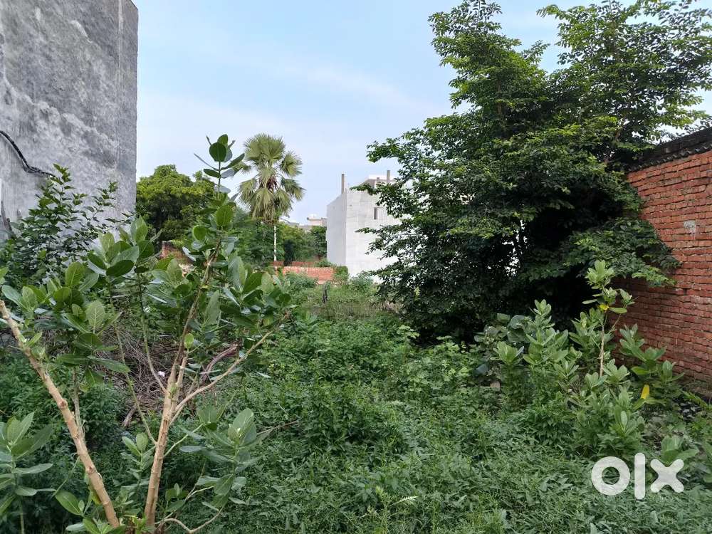 Plot Nearby bijnor road  lucknow