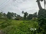NOT FLOODED LAND WATER & POWER AVAILABILITY ASSURED ,RATE NEGOTIABLE