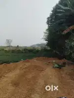 Pitapalli Nh 16 to Only 500mtrs distance Plot For sale