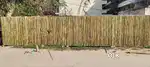 Bamboo fencing 50