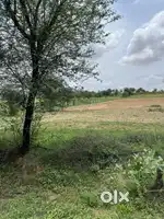 Warehouse plot