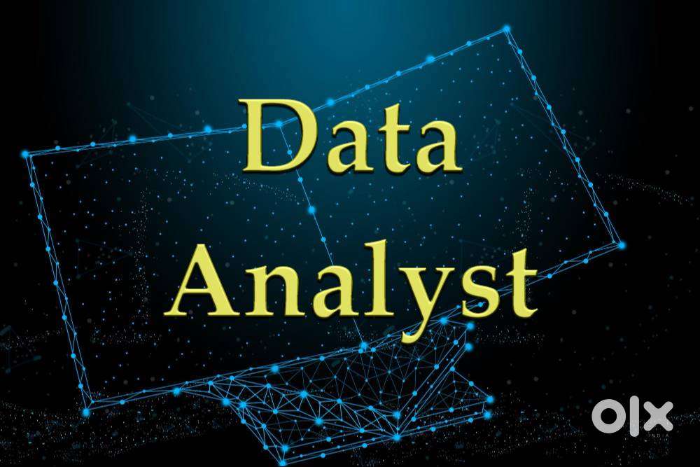 Data Analyst