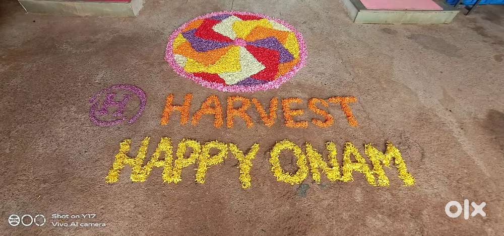 Driving job at company