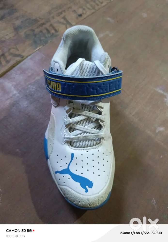 Puma cricket spike shoes