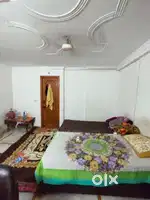 Need a female room mate