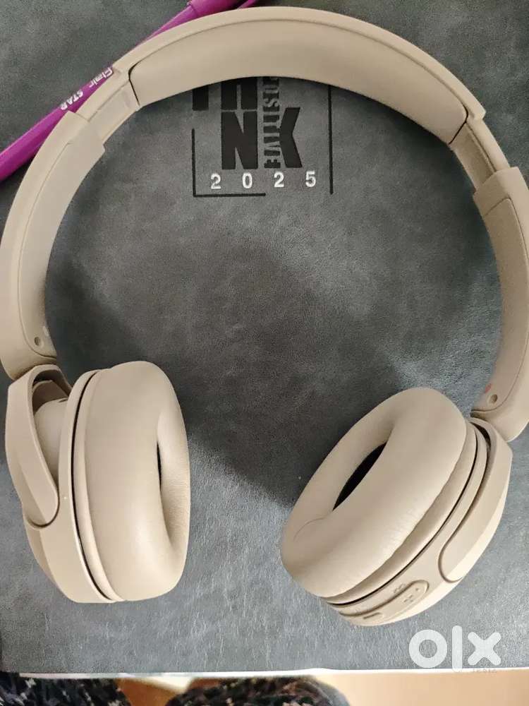 Sony WH CH 520 Headphone