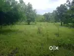 125 acers for sale in Pen city