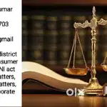 Legal justice associate