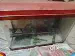 Fish Tank 150 Litre 2.5 inches Imported Tank With Color stones...