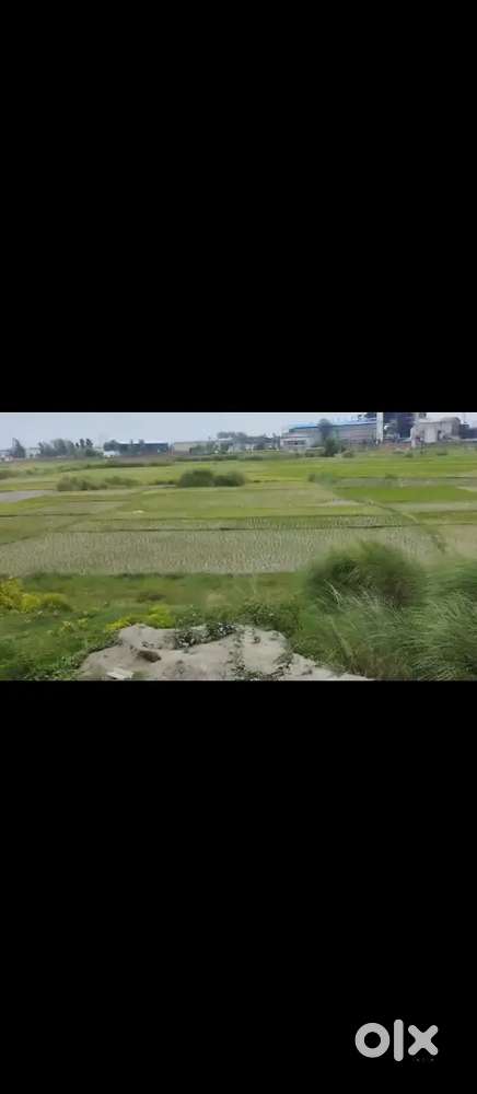 Harakhua Nahar ke pass jamin hai road se 3 number wala khet mera hai