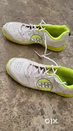 Ss cricket shoes