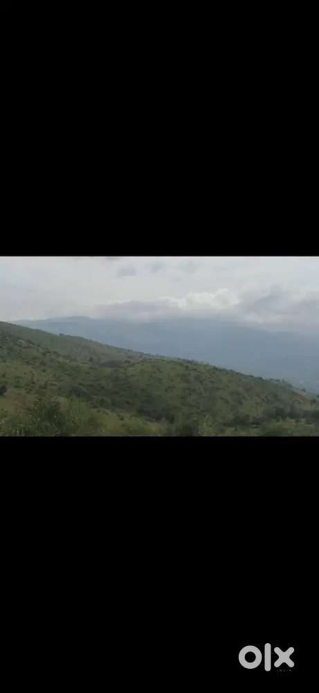 50acres hilltop estate for sale in chikkamagaluru