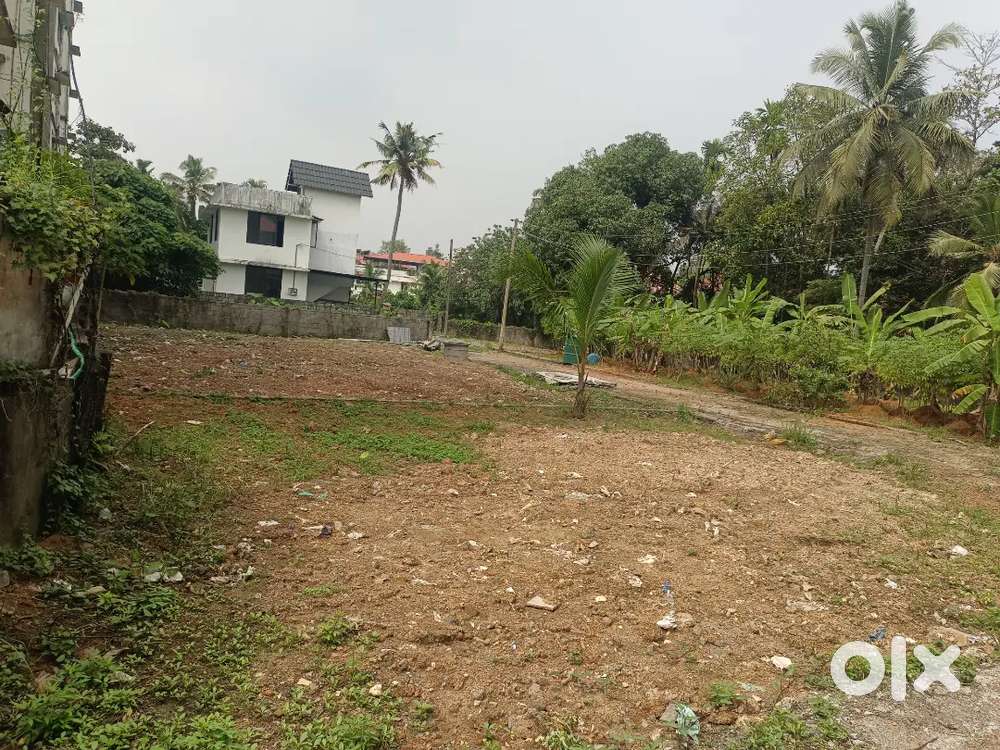Kakkanad chambumkku 3.5 cent square plot for sale 700 mter bus stop