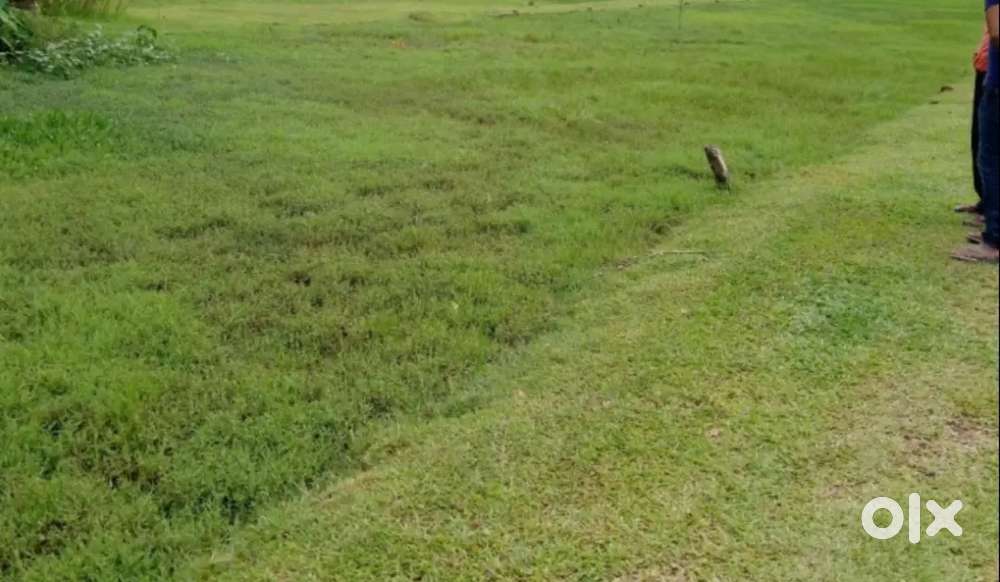 6 katha plot for sale at Nagatila