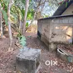 5 cent chempazhanthy