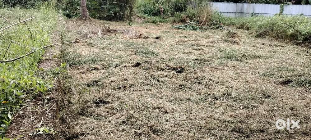 കെവിഎം ഹോസ്പിറ്റലിൽ കിഴക്ക് വശം 4cent2.75 സെന്റിന് ചോദ്യം