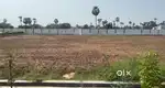 Site for sale in Rajahmundry kolamuru per sqrd 13500