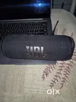 JBL FLIP 6 (4 Month Old)