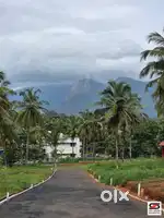 Premium plots for sale in Mannarkkad