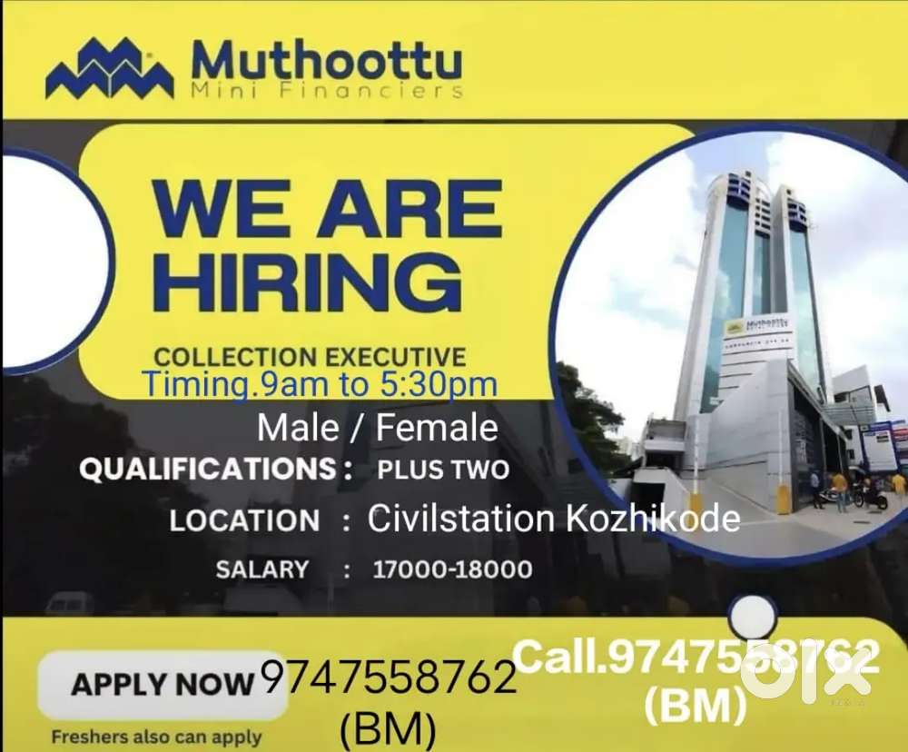 Relationship Executive