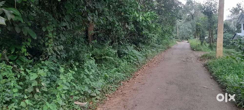 Excellent 30 cent plot