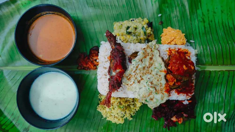 Need A silent partner for RESTAURANT