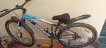 HERCULES  FX 300 29 Road cycle single speed Blue only Front Suspension